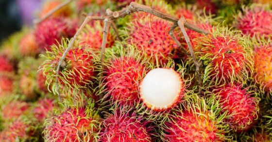 18 Manfaat Makan Rambutan untuk Kesehatan Tubuh
