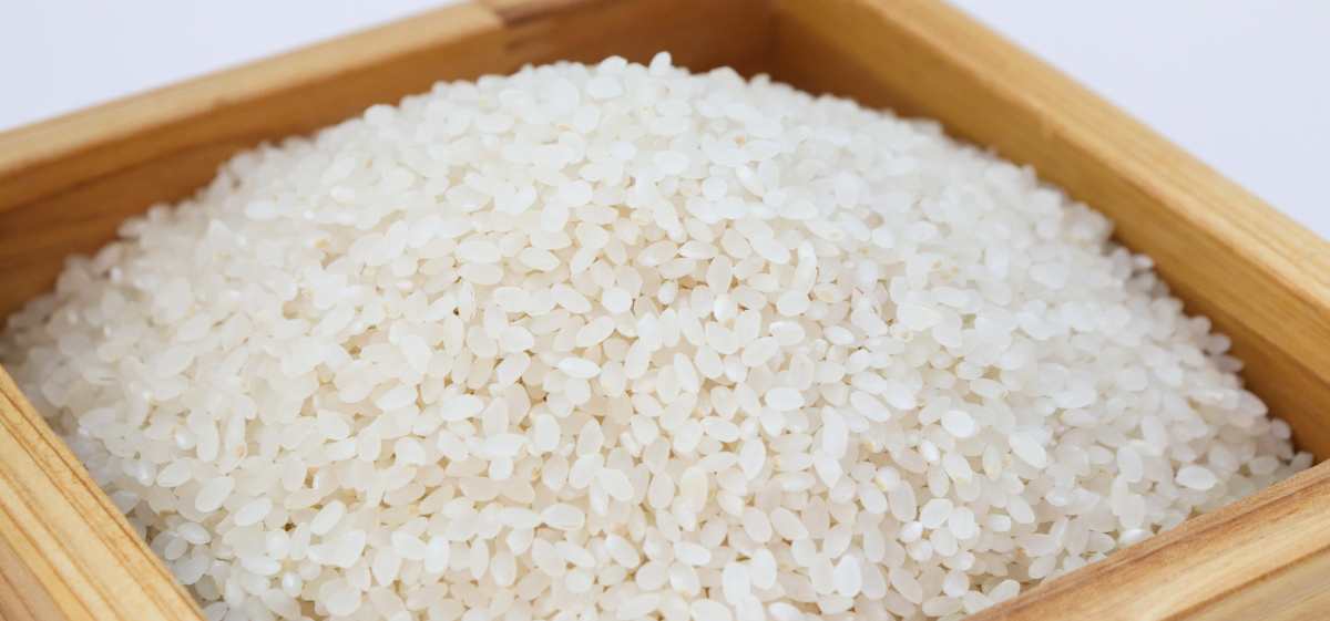 Berapa Kali Sebaiknya Menggunakan Masker Beras?
Kamu bisa melakukan rutinitas eksfoliasi wajah menggunakan masker beras 1-2 kali seminggu untuk hasil yang lebih baik.