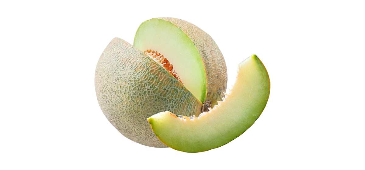 melon merupakan salah stau buah untuk tipes yang aman dikonsumsi