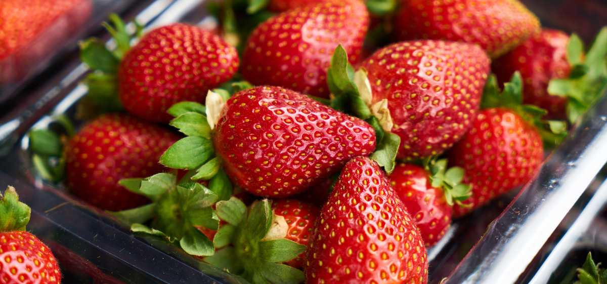 Manfaat berikutnya yang dimiliki buah ini adalah kemampuan strawberry dalam mengatasi jerawat.