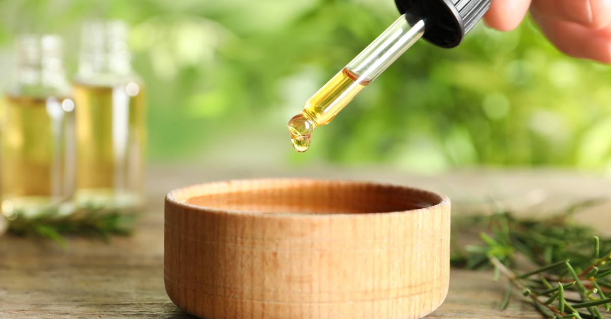 Cara menghilangkan kapalan adalah salah satunya dengan tea tree oil. 