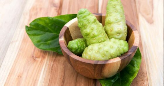 Mudah, 6 Cara Mengolah Buah Mengkudu yang Benar