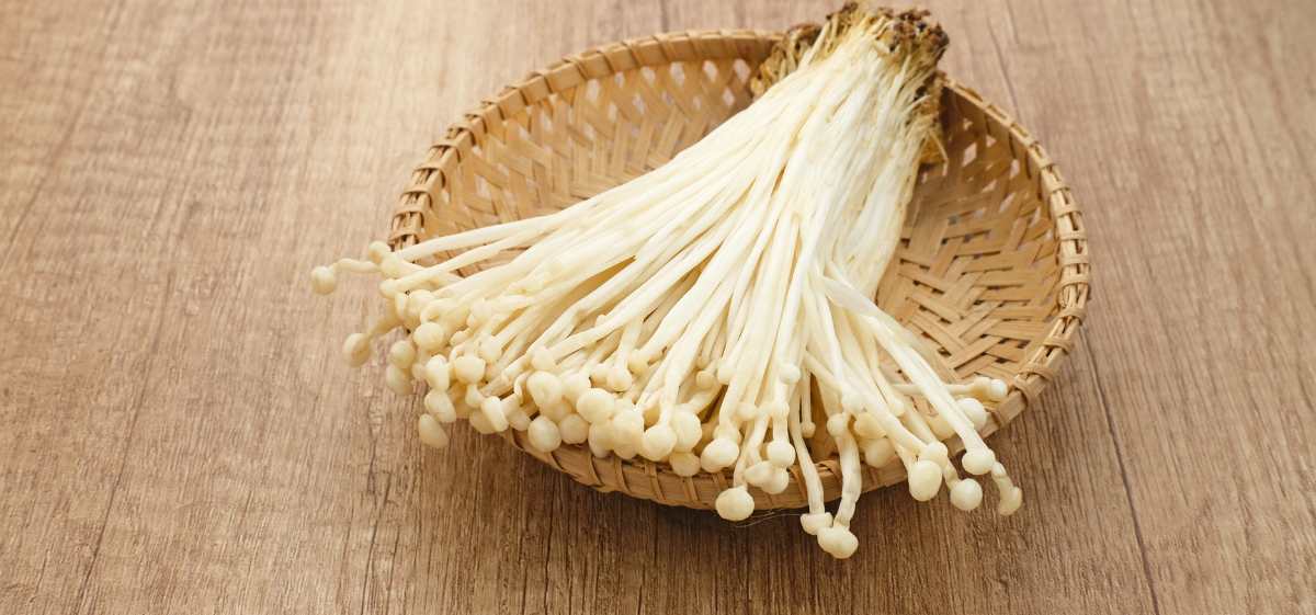 Salah satu menfaat jamur enoki adalah mampu menjaga kesehatan pencernaan.