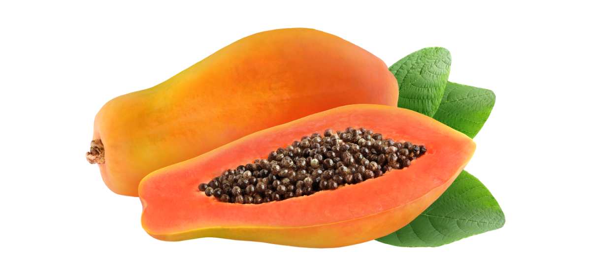 Manfaat pepaya untuk ibu hamil yang pertama yaitu menstabilkan tekanan darah.