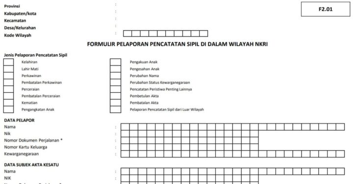 Ini Dia, Syarat Membuat Akta Kelahiran 2024 Untuk Anak Baru Lahir