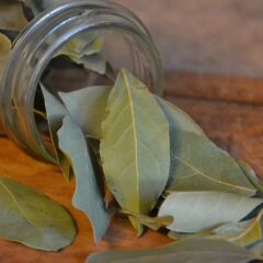 Ini Dia, 12 Manfaat Daun Salam, Cegah Kanker Hingga Depresi