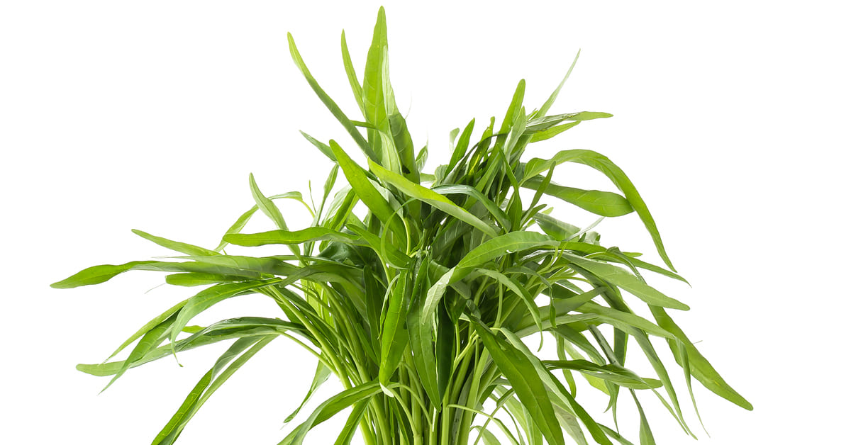 Kandungan Sayur Kangkung