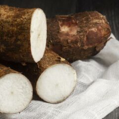 9 Jenis Tanaman Palawija, Manfaat dan Syaratnya!