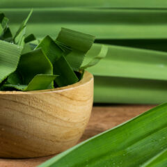 8 Manfaat Daun Pandan Untuk Kesehatan dan Efek Sampingnya