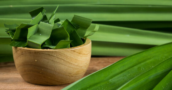 8 Manfaat Daun Pandan Untuk Kesehatan dan Efek Sampingnya