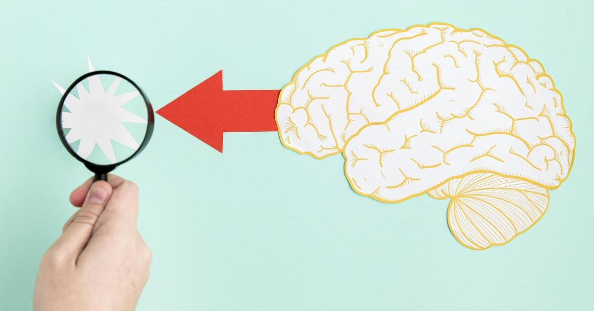 Bagian Otak Manusia dan Fungsinya