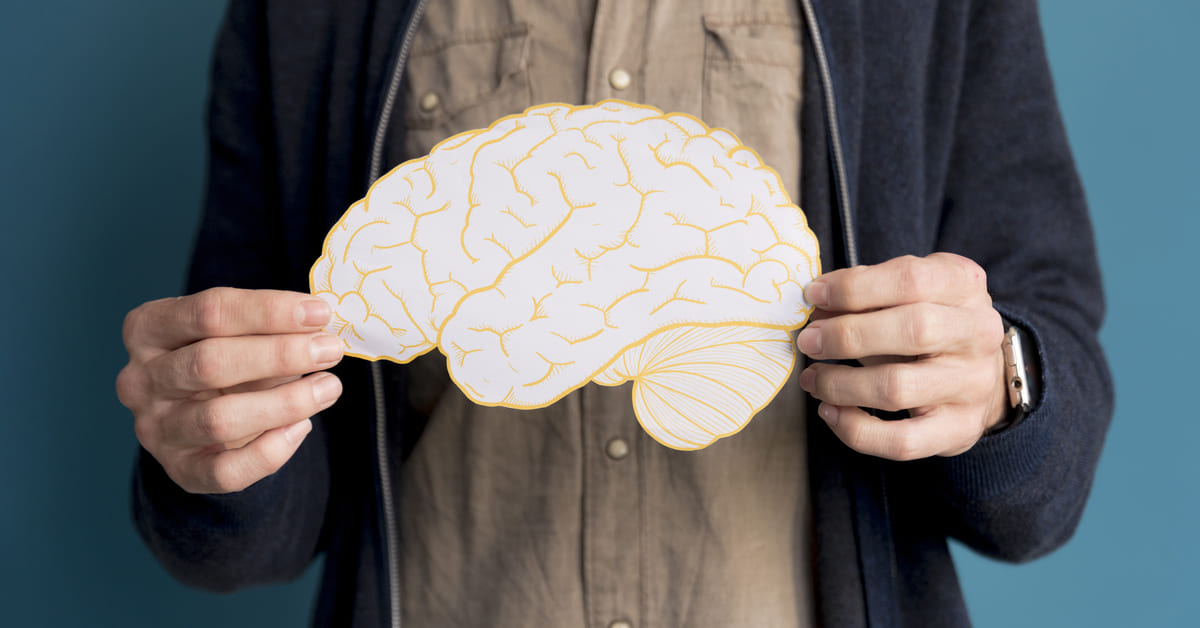 Perkembangan Otak Manusia dari Kecil hingga Dewasa