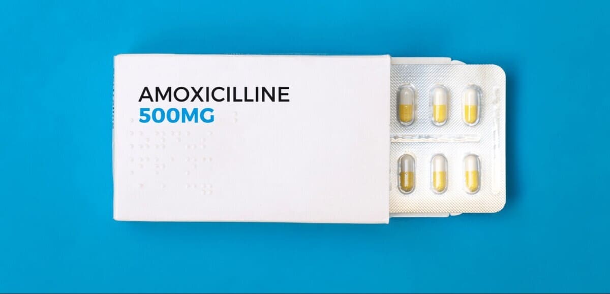 Apa Itu Amoxicillin Trihydrate