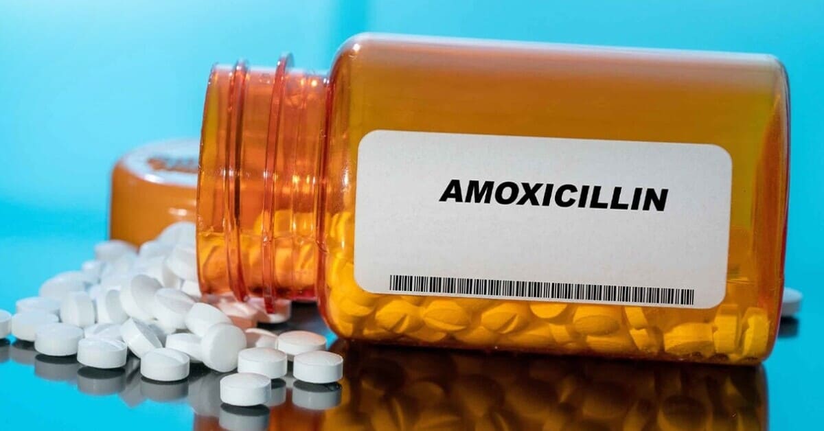 Efek Samping Amoxicillin Trihydrate