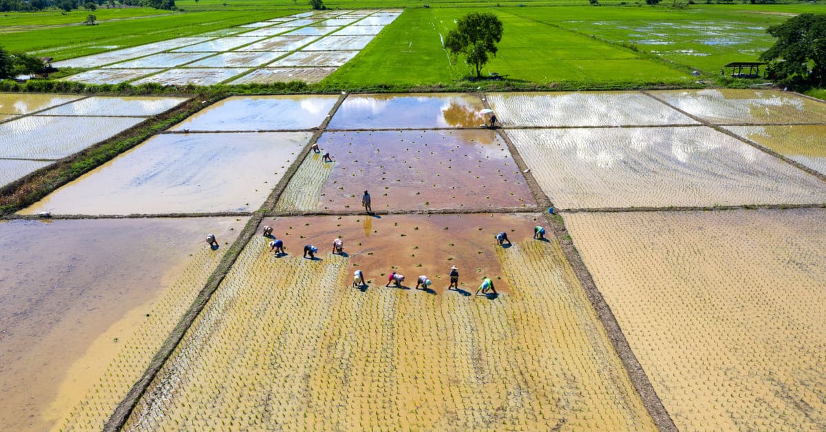 Ciri-Ciri Dataran Rendah