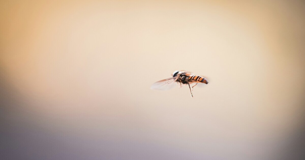 Laron dalam Budaya dan Kepercayaan